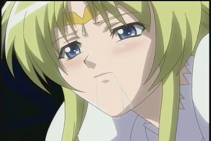 [DV-021] Elfina～出賣淫夜的王國～ 完全收錄